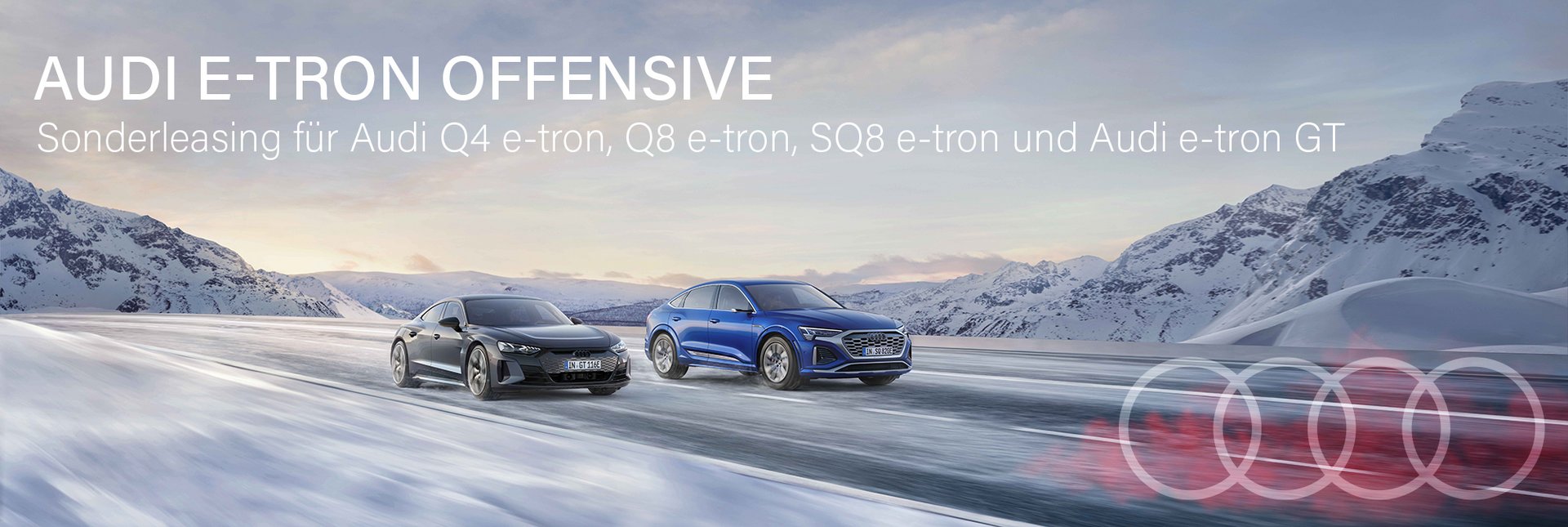 Audi e-tron Offensive