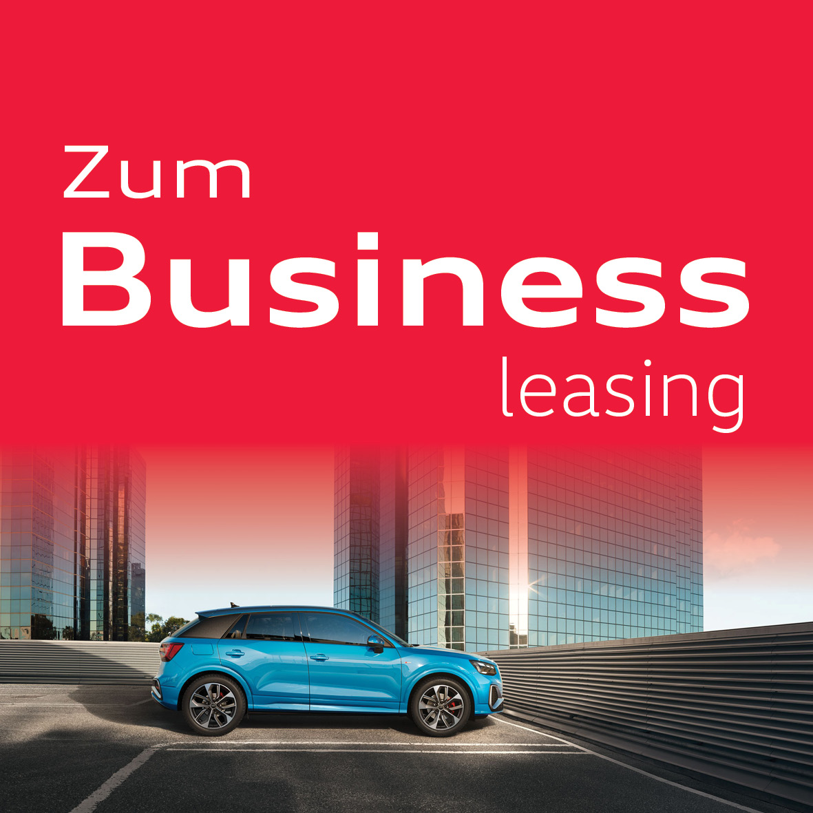 Audi Q2 Businessangebot